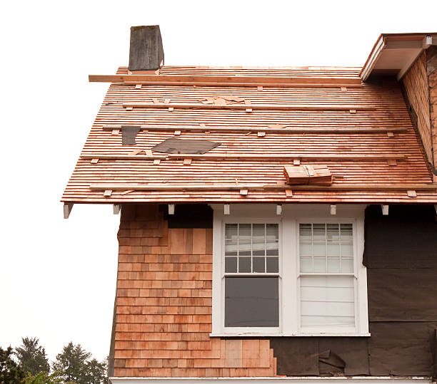 Best Siding Removal and Disposal  in Muse, PA